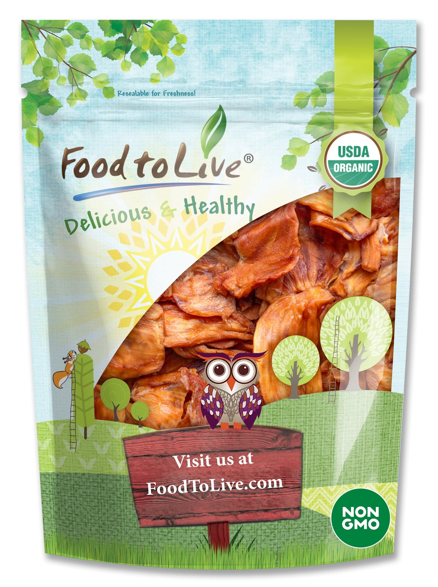 Organic Dried Jackfruit Slices - by Food To Live
