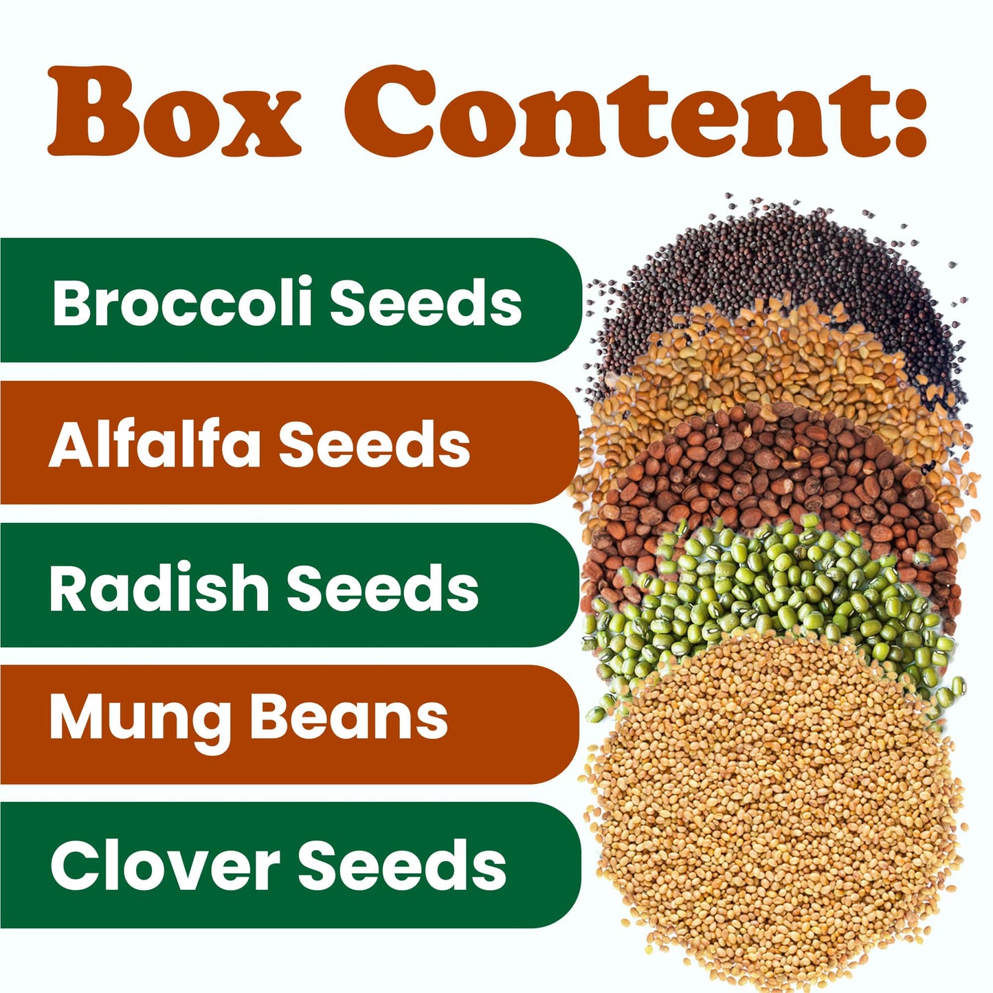 Organic Sprouting Seeds in a Gift Box - by Food To Live