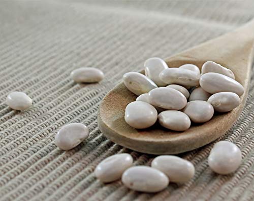 Organic Great Northern Beans - by Food To Live