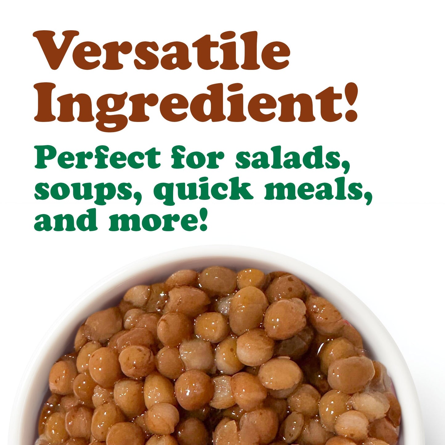 Organic Canned Lentils – Unsalted, Non-GMO, Vegan – by Food to Live