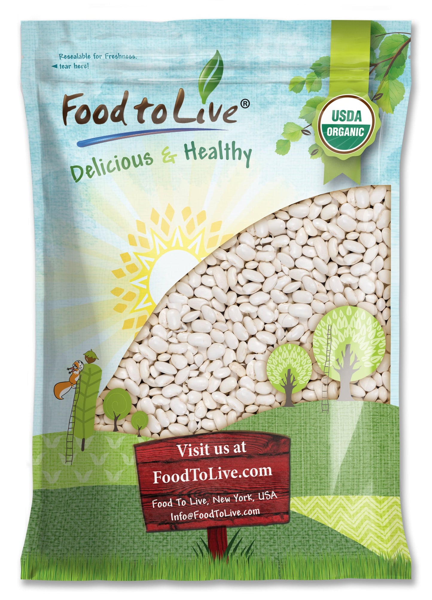 Organic White Kidney Beans — Whole Raw Dried Beans, Vegan, Kosher, Bulk. Rich in Dietary Fiber and Protein. Perfect for Soups, Stews, Chili, Paste, Salads and Side Dishes