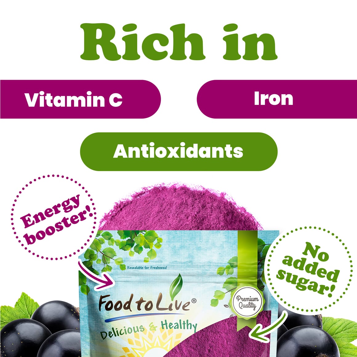 Currant Juice Powder — Kosher, Bulk - by Food to Live