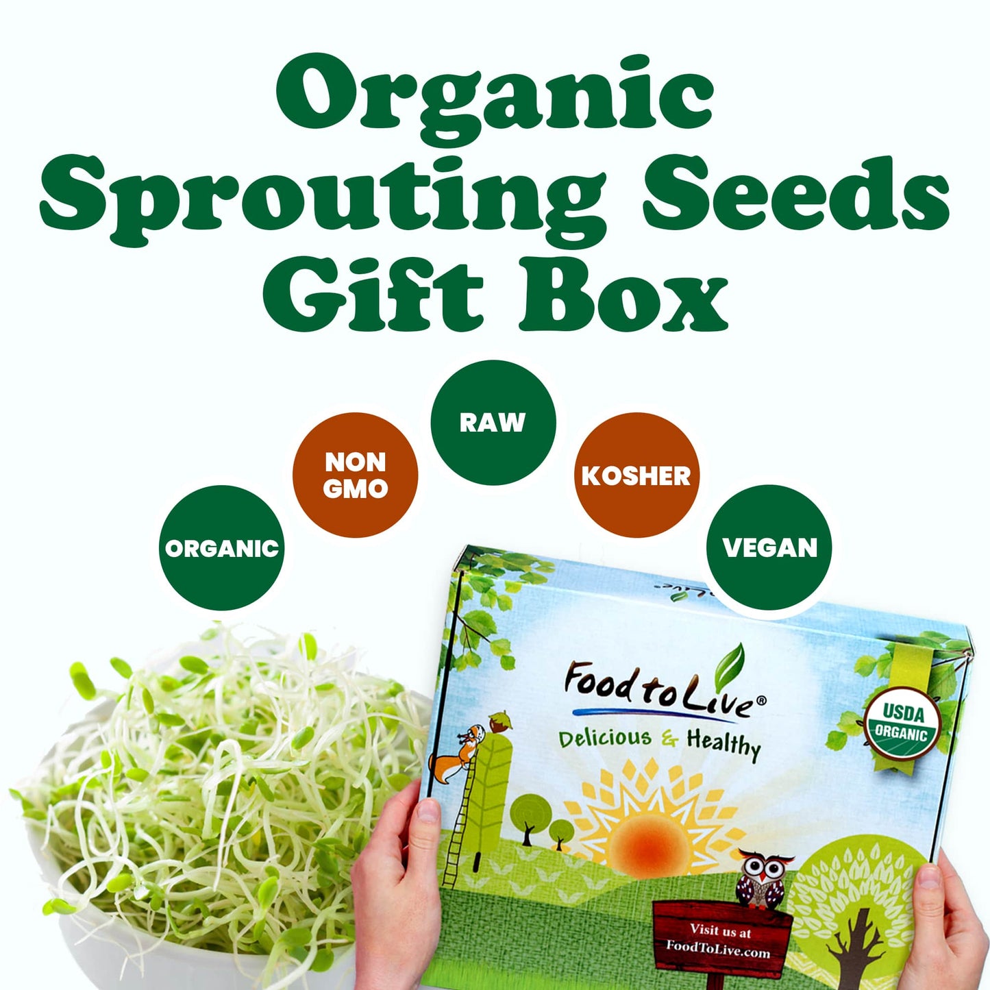 Organic Sprouting Seeds in a Gift Box - by Food To Live