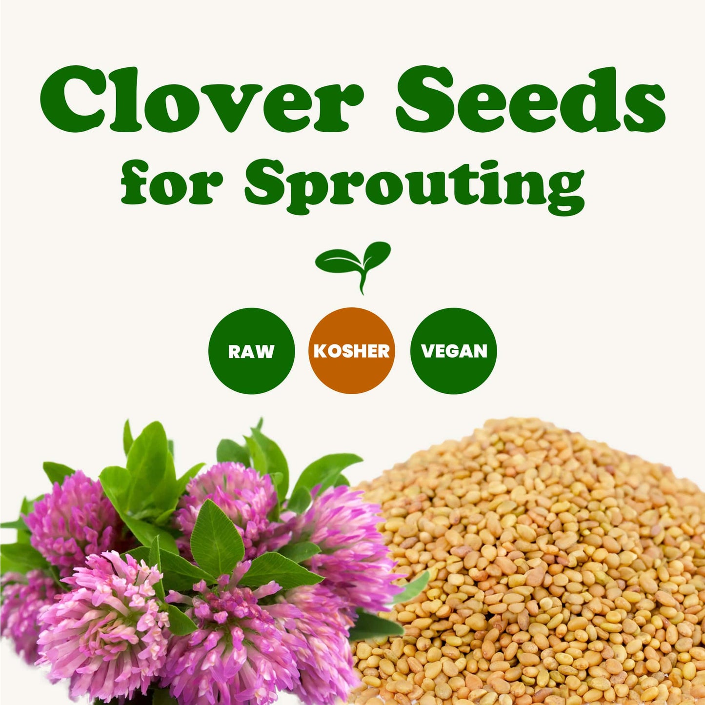 Clover Seeds for Sprouting - by Food To Live