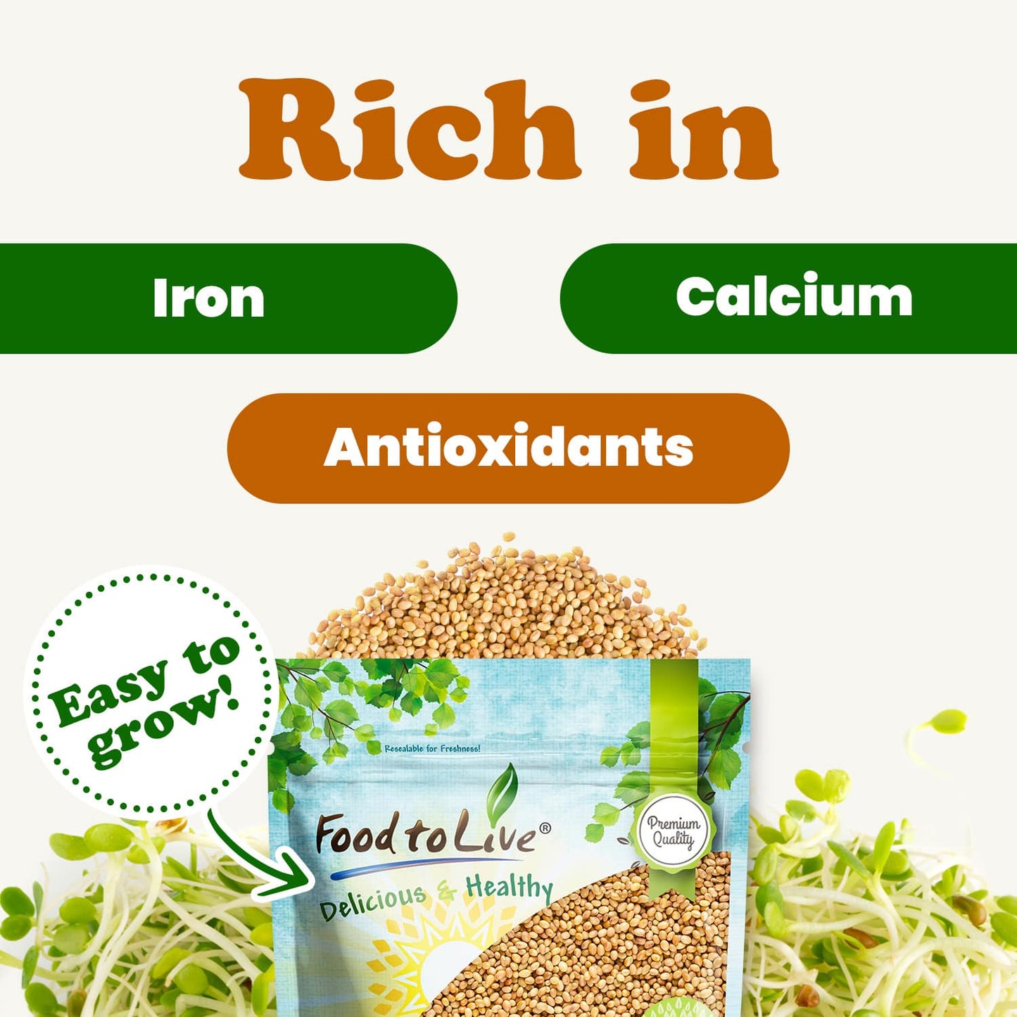 Clover Seeds for Sprouting - by Food To Live