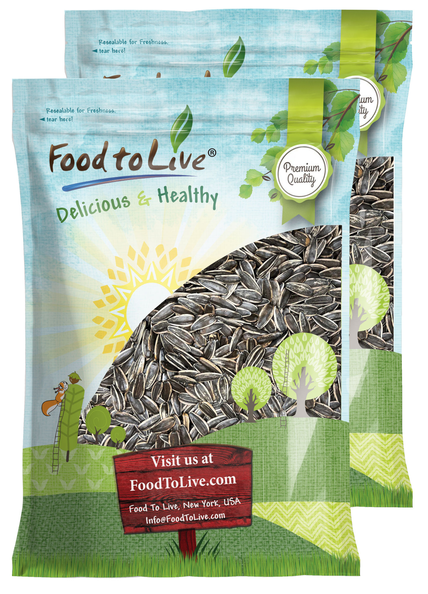 Dry Roasted Sunflower Seeds in Shell with Himalayan Salt – Kosher, Vegan, Bulk – by Food to Live