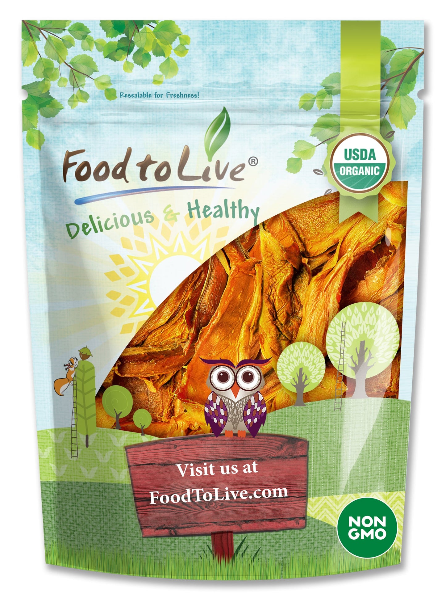 Organic Dried Mango Strips - by Food To Live