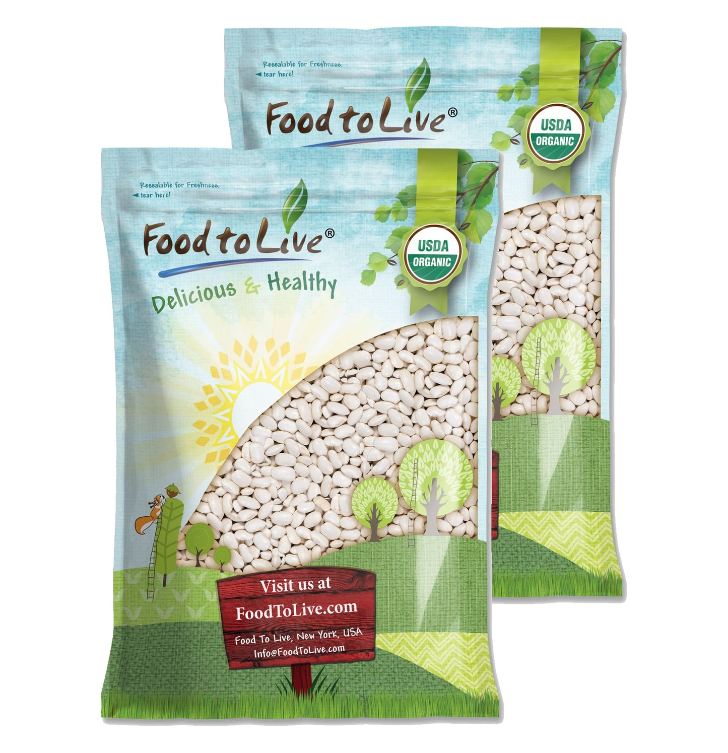 Organic White Kidney Beans — Whole Raw Dried Beans, Vegan, Kosher, Bulk. Rich in Dietary Fiber and Protein. Perfect for Soups, Stews, Chili, Paste, Salads and Side Dishes
