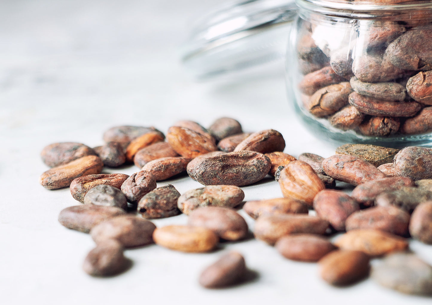 Organic Cacao Beans