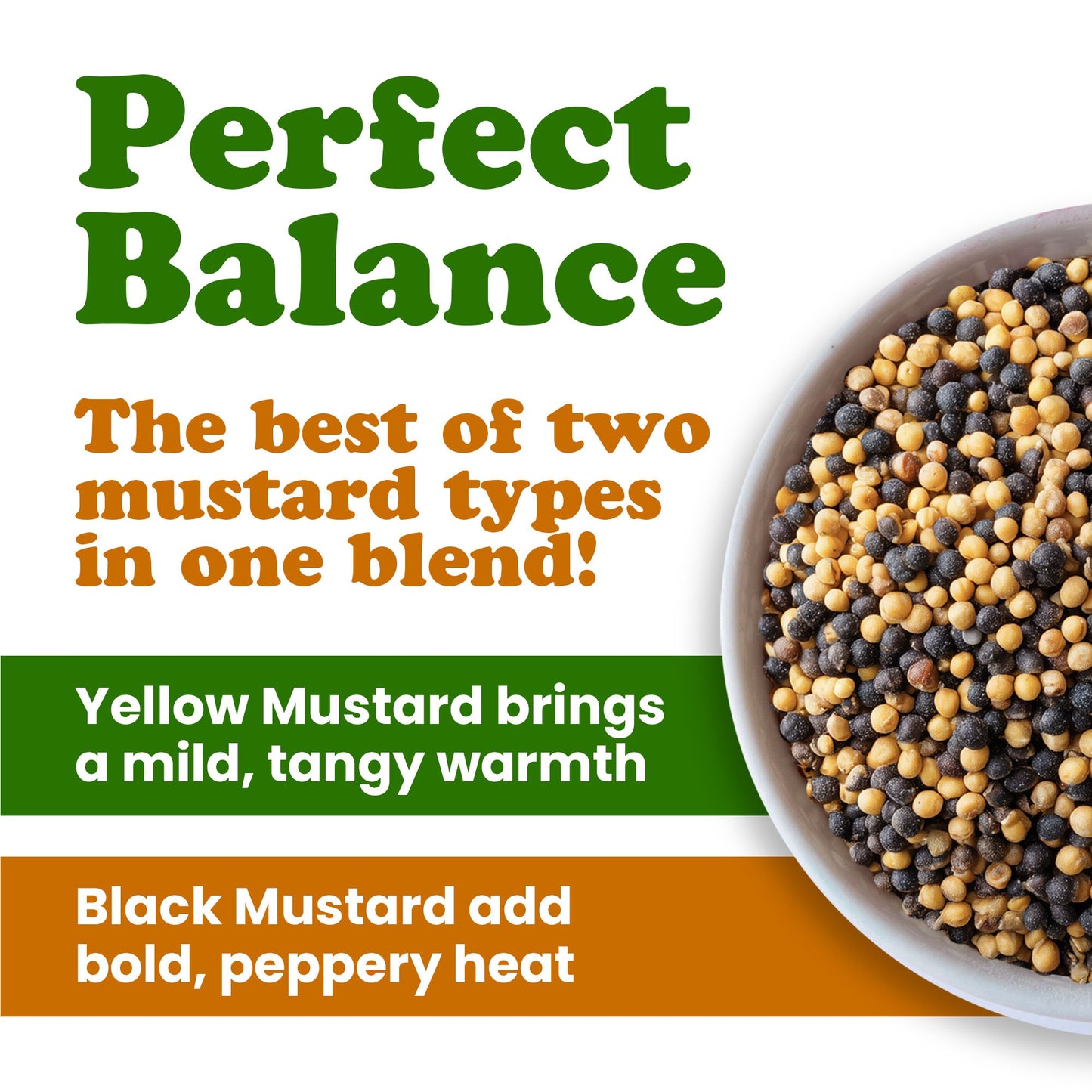 Organic Black and Yellow Mustard Seeds Mix - by Food to Live
