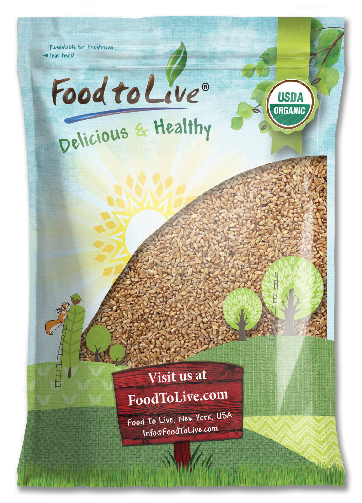 Organic Hard Red Wheat Berries - by Food To Live