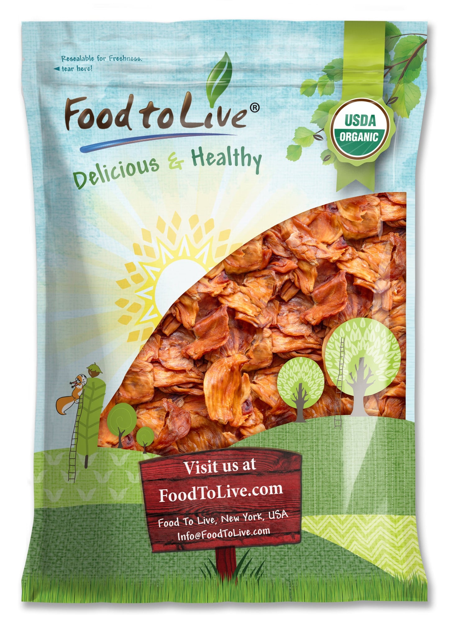 Organic Dried Jackfruit Slices - by Food To Live