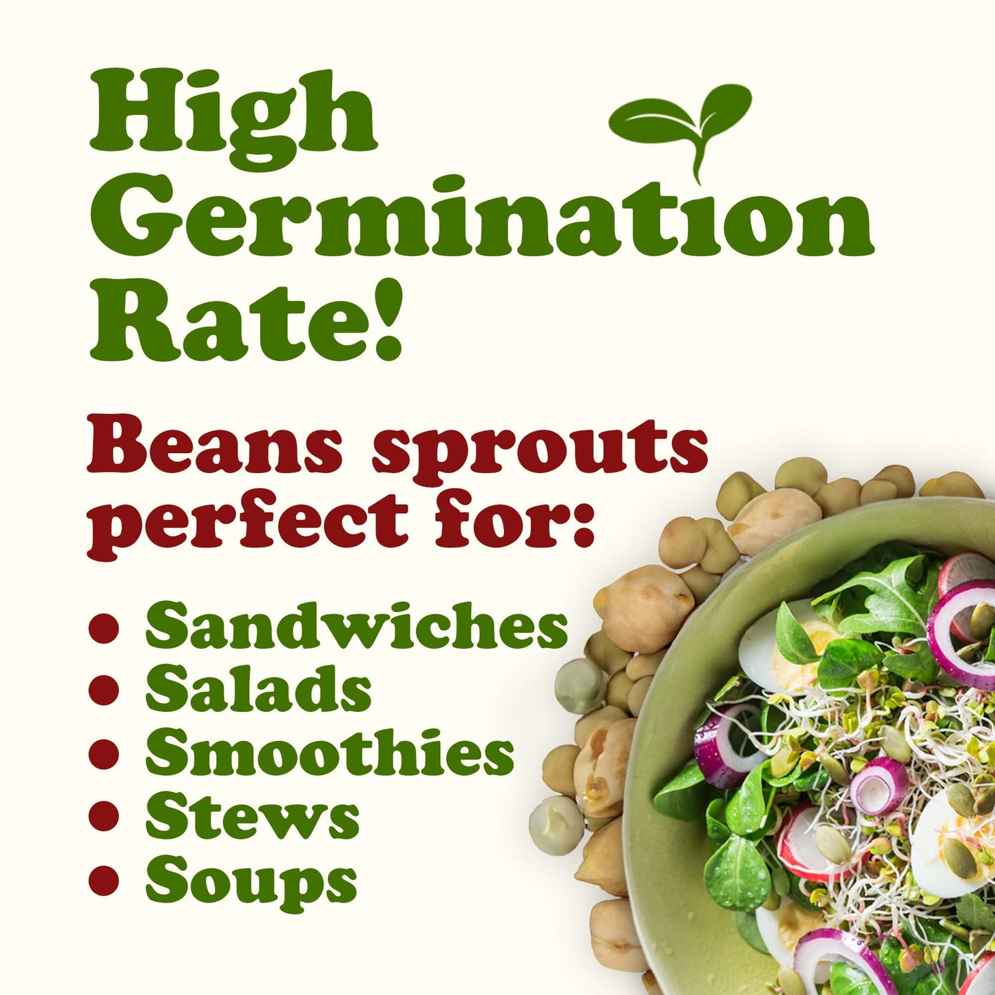 Rainbow Sprouting Beans Mix - by Food To Live