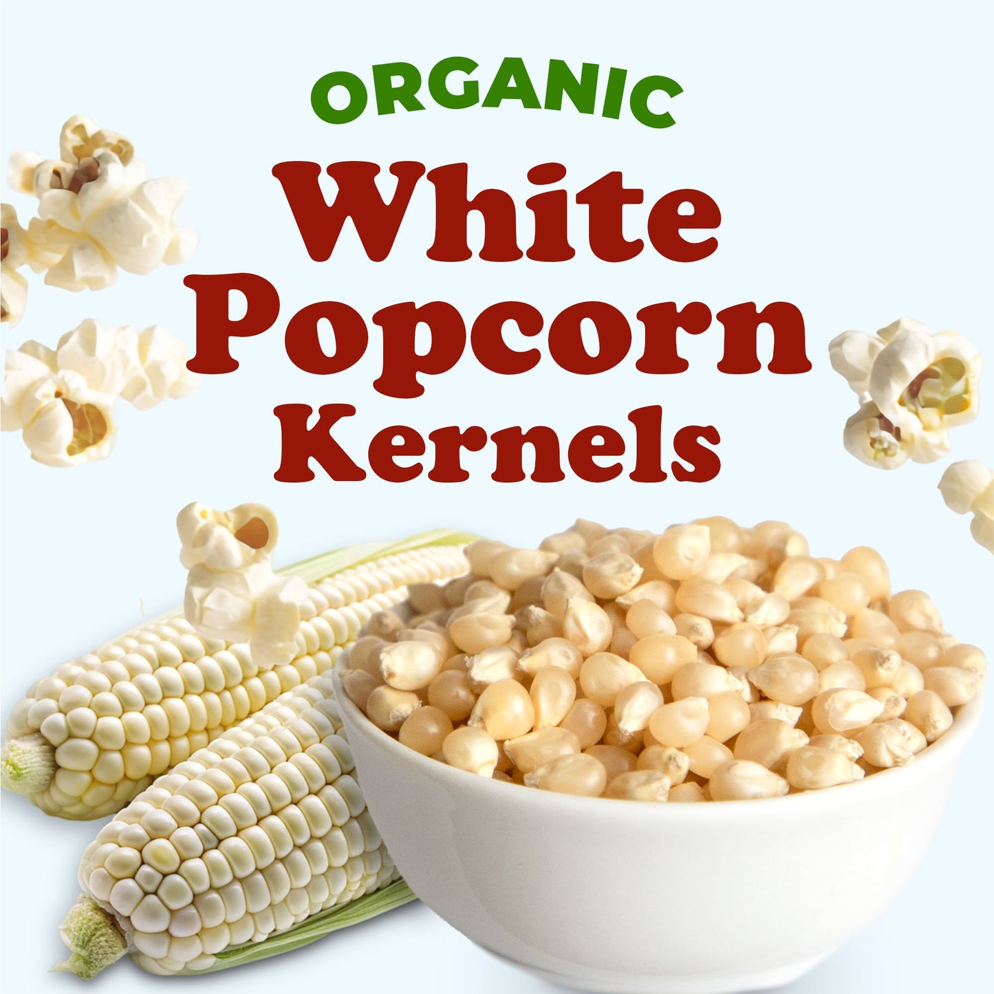 Organic White Popcorn Kernels – USDA Certified. Non-GMO, Vegan, Kosher, Bulk