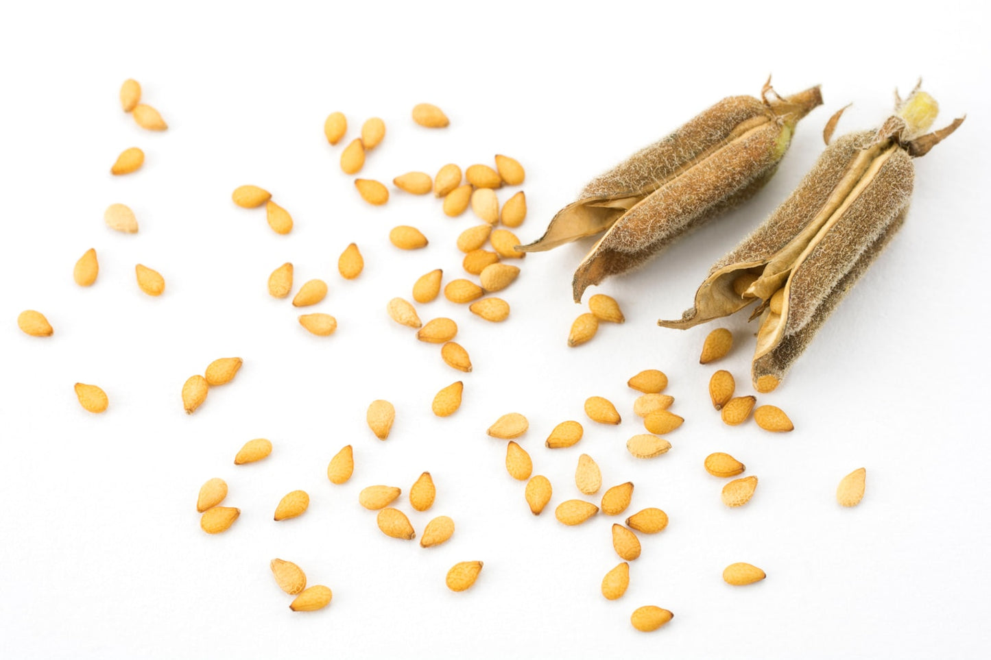 Organic Unhulled Sesame Seeds - by Food To Live