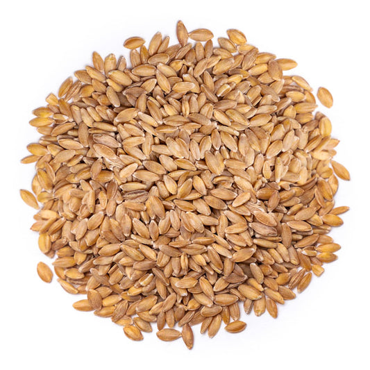 Organic Einkorn Wheat Berries - by Food To Live