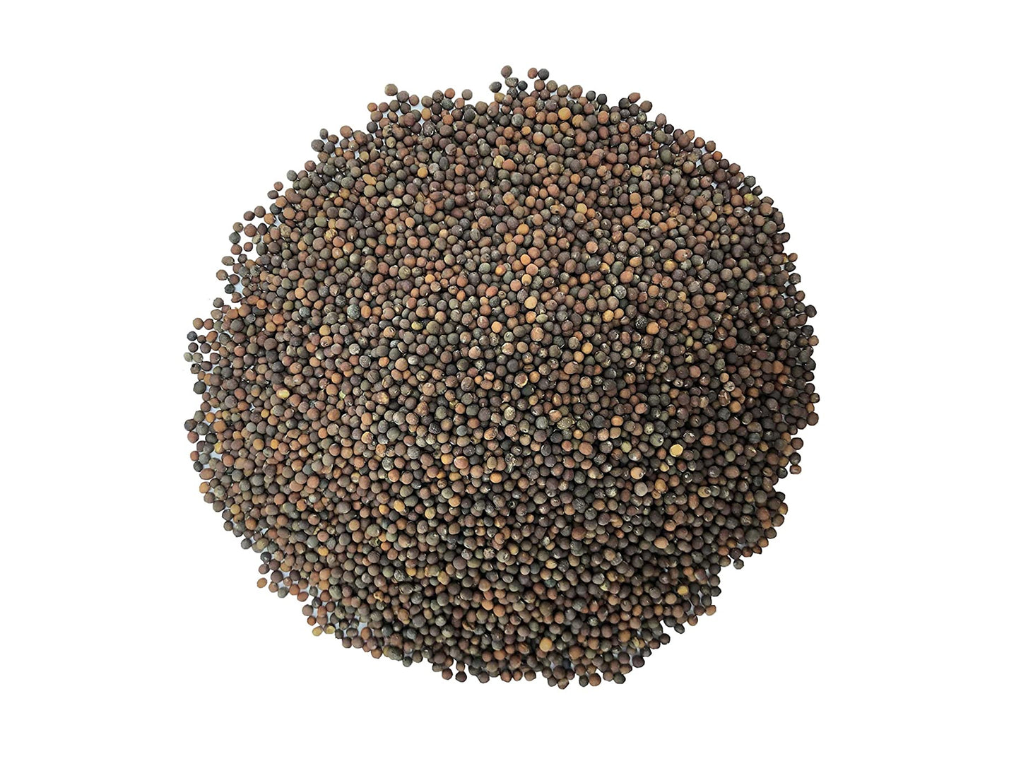 Kale Seeds for Sprouting - by Food To Live