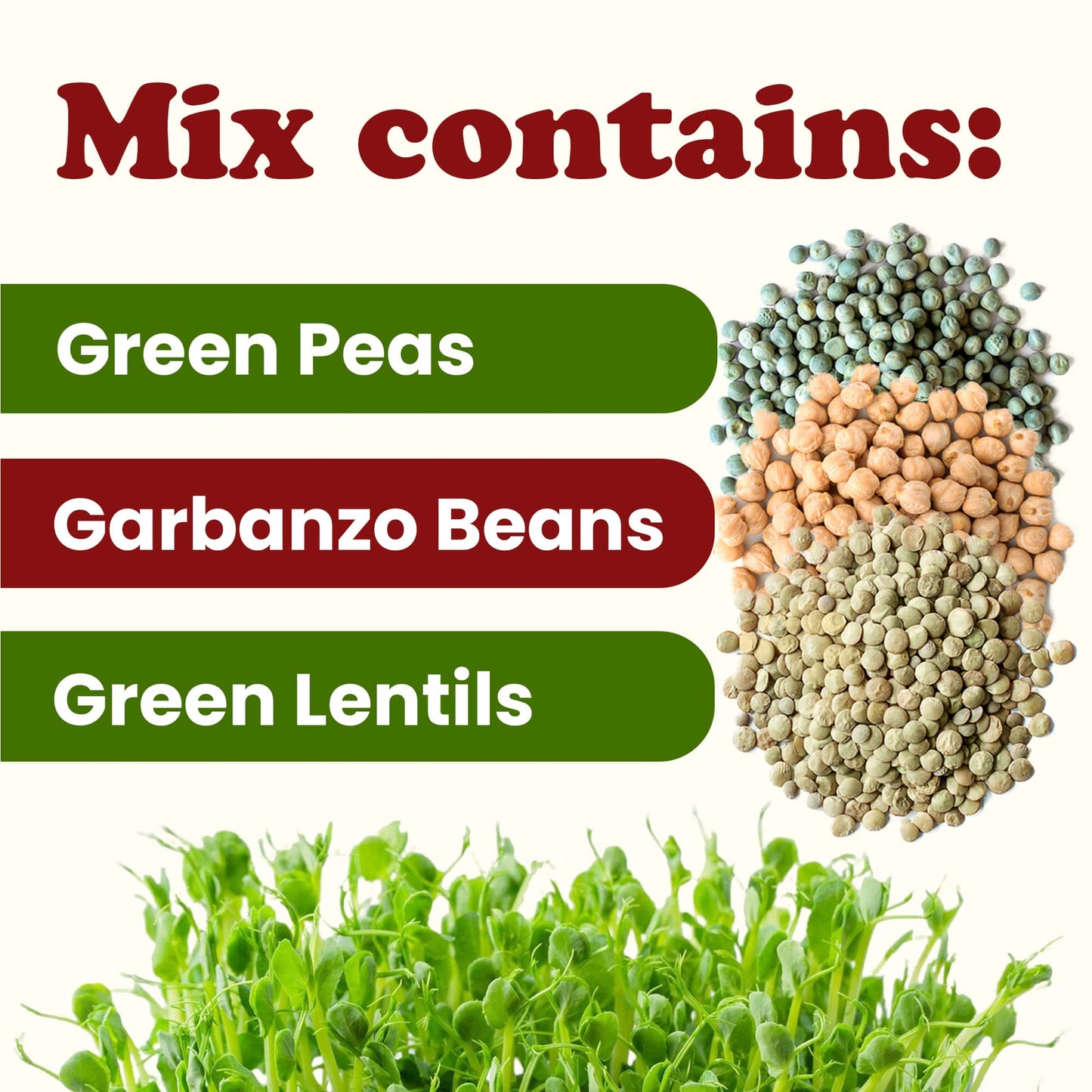 Rainbow Sprouting Beans Mix - by Food To Live
