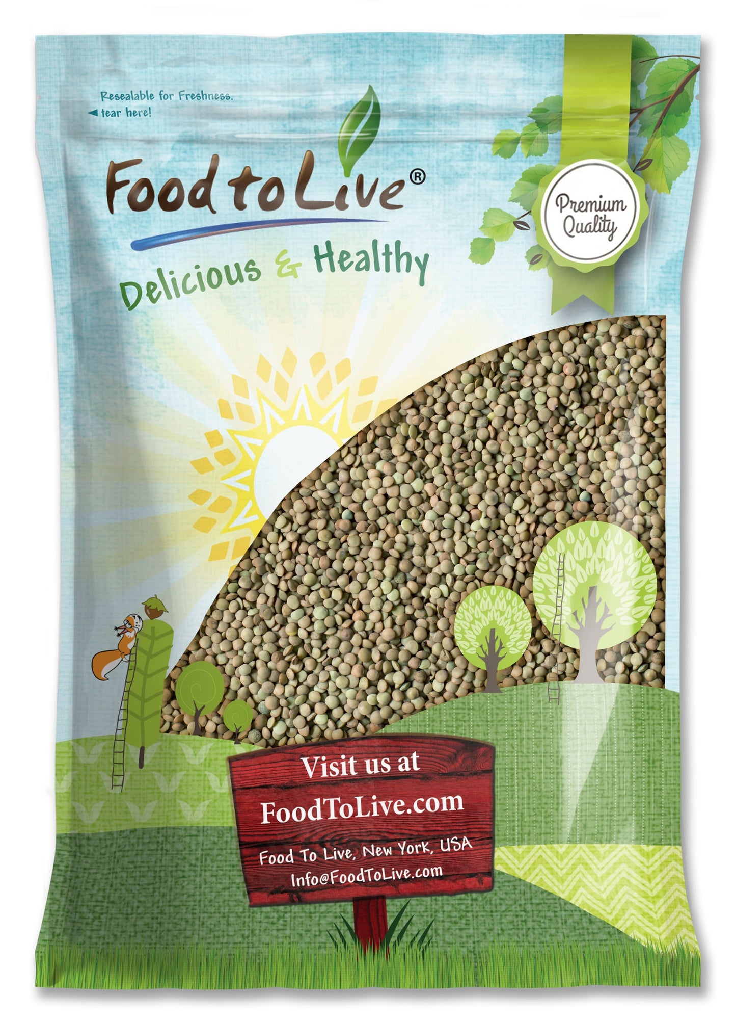 Green Lentil Whole — Non-GMO Verified, Kosher, Bulk - by Food to Live
