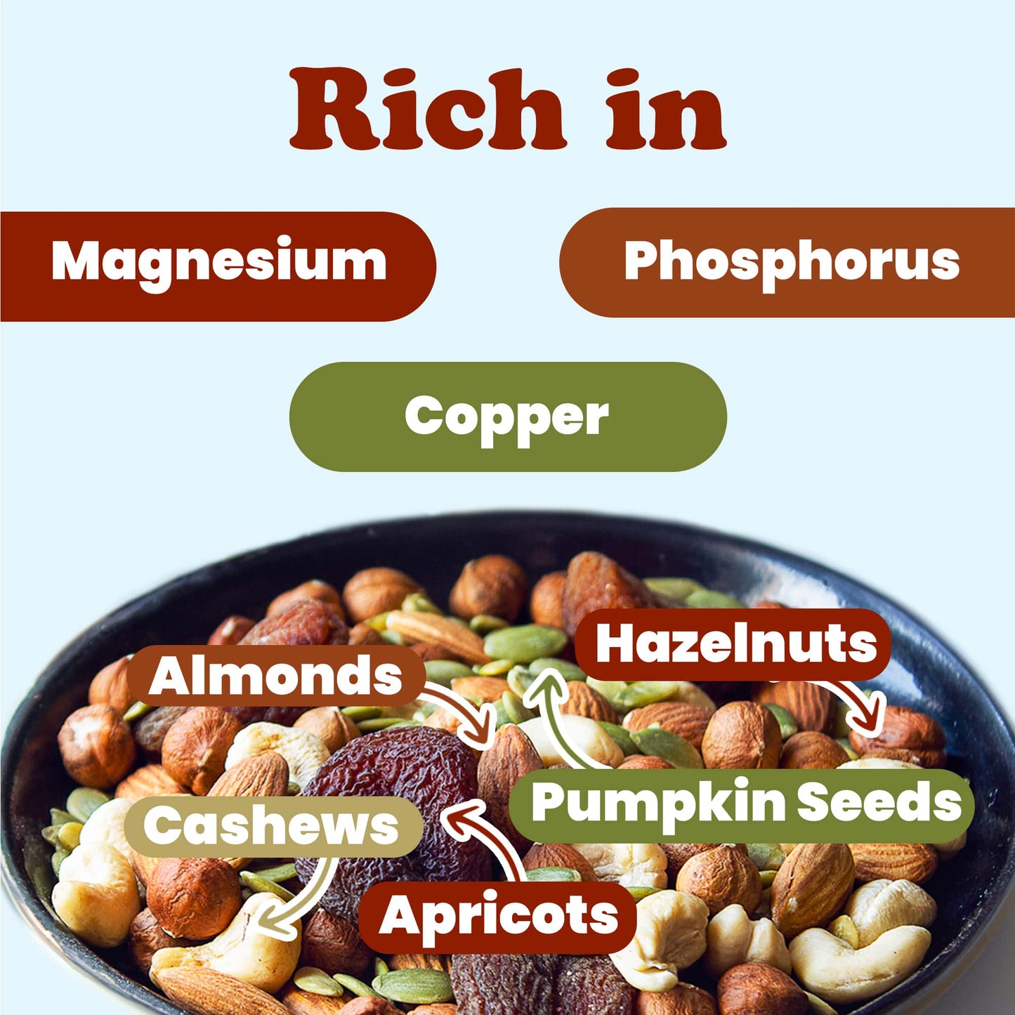 Organic Active Life Trail Mix — Raw and Non-GMO Snack Mix Contains Cashews, Pumpkin Seeds, Apricots, Hazelnuts, Almonds. Vegan, Kosher, Bulk