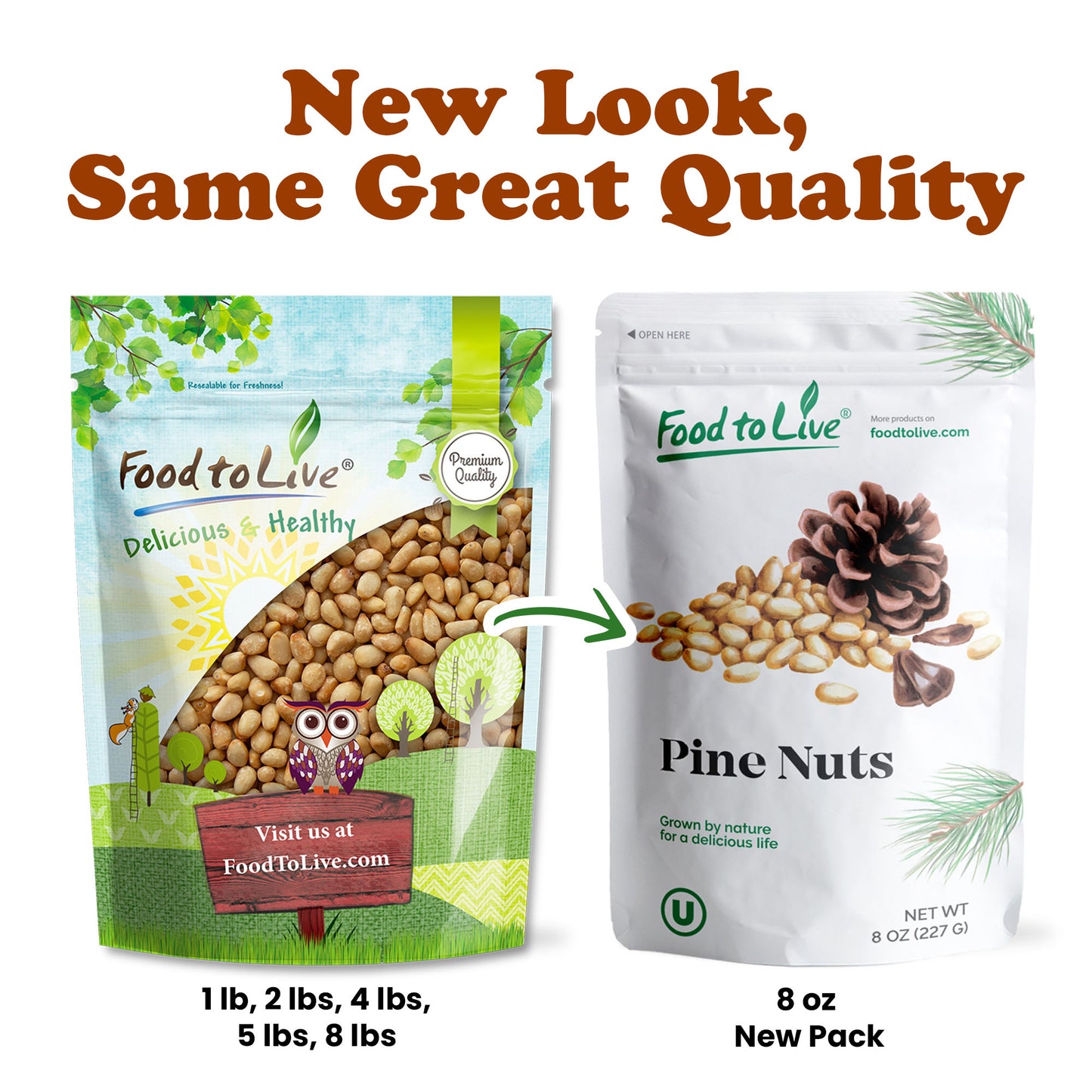Dry Roasted Pine Nuts with Himalayan Salt - by Food To Live