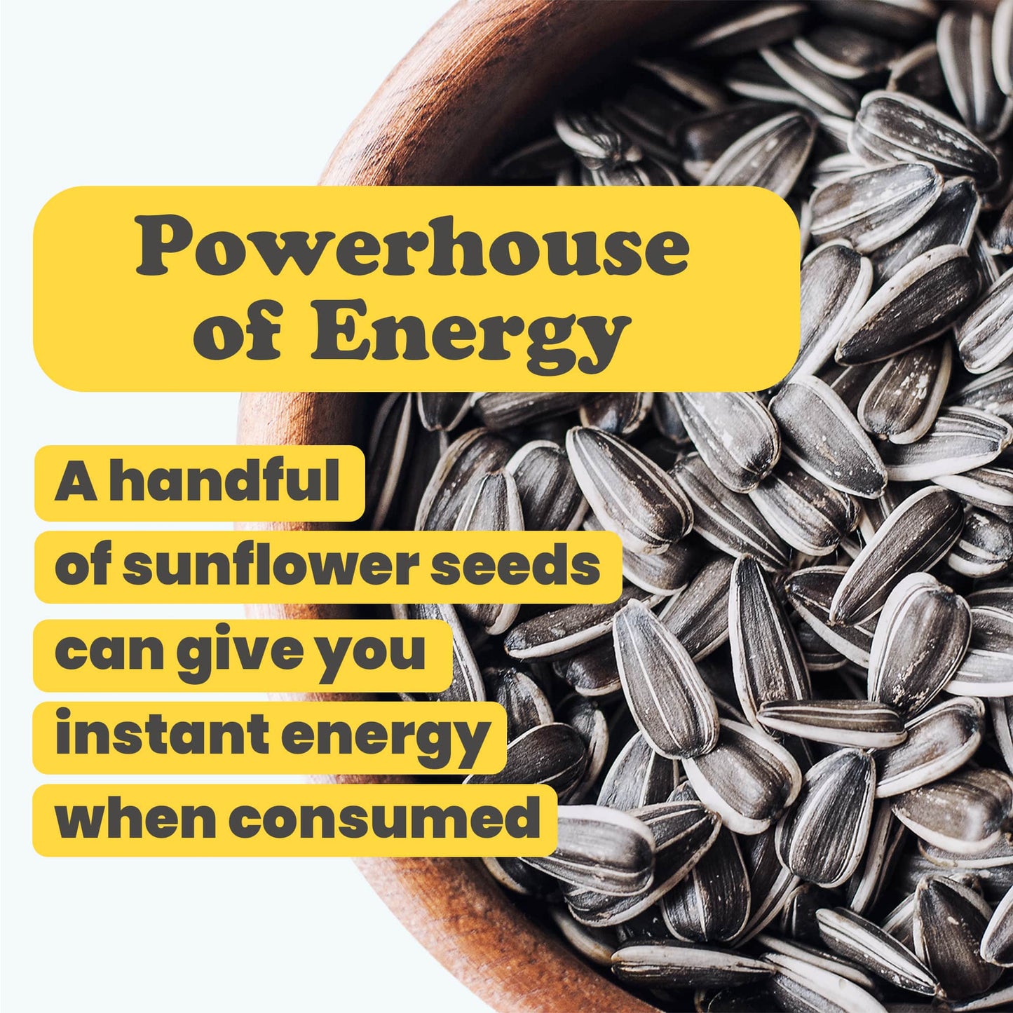 Raw Sunflower Seeds in Shell - by Food To Live
