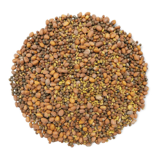 Organic Spicy Mix of Sprouting Seeds - by Food To Live