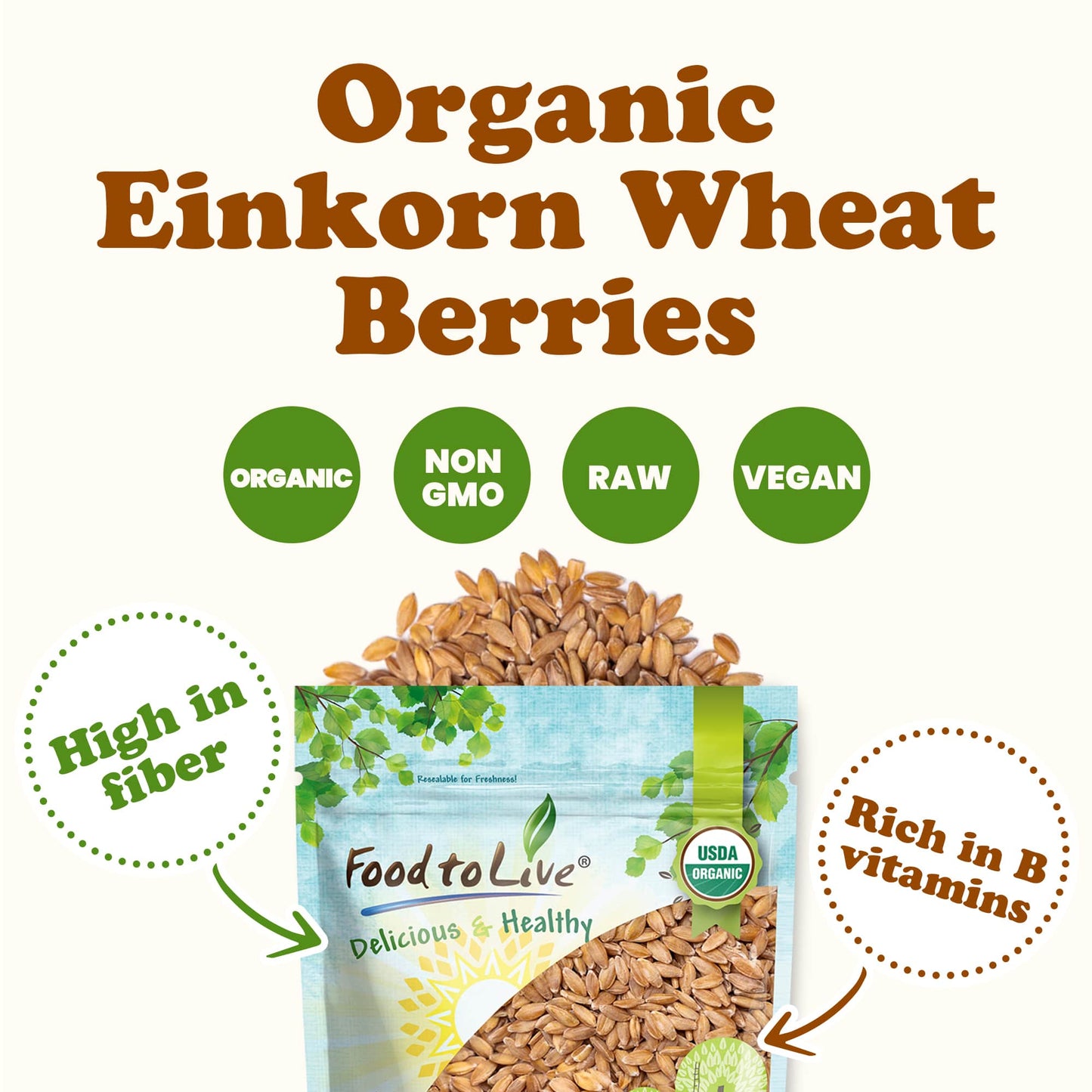 Organic Einkorn Wheat Berries - by Food To Live