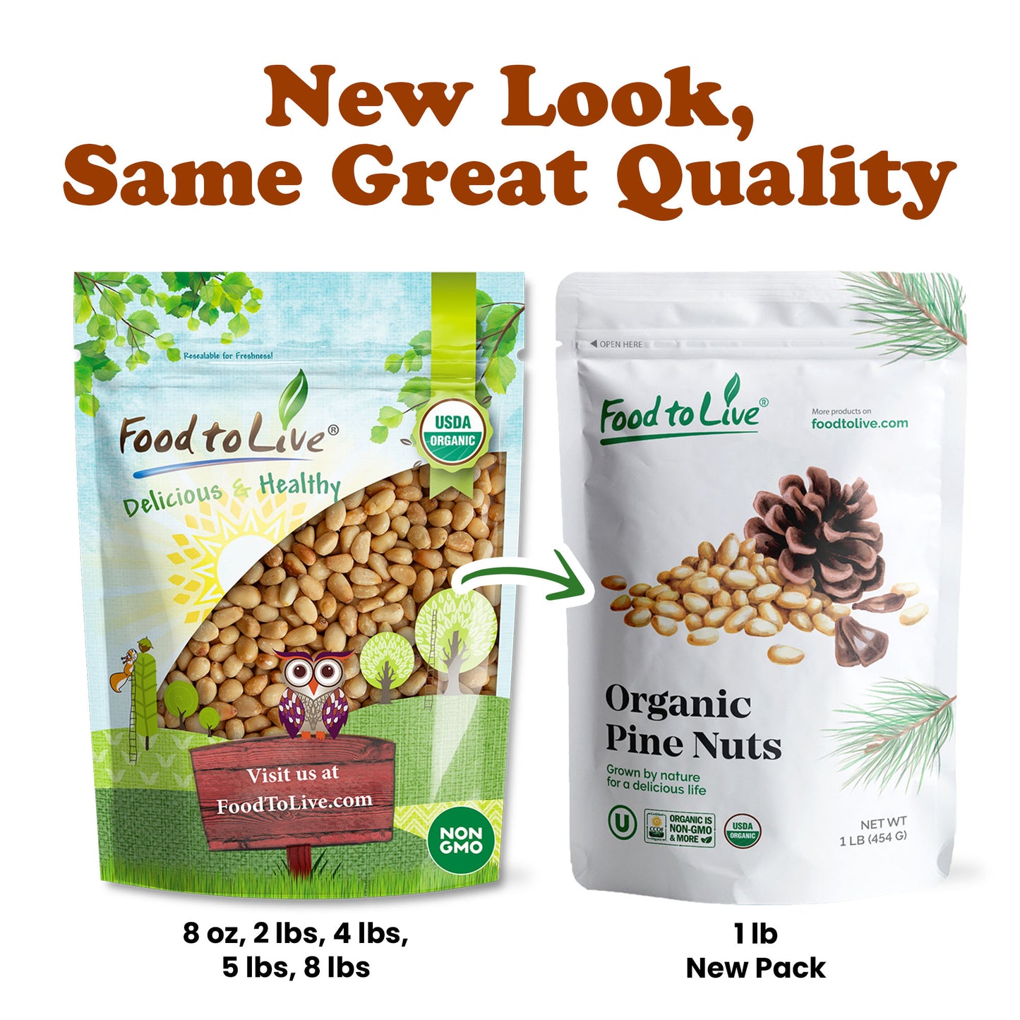 Organic Dry Roasted Pine Nuts with Himalayan Salt - by Food to Live