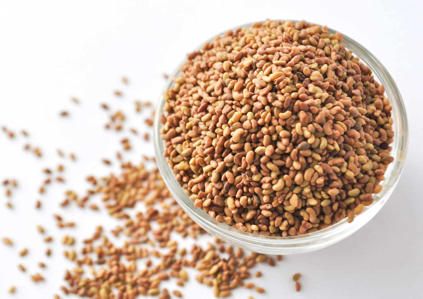 Alfalfa Seeds for Sprouting - by Food To Live