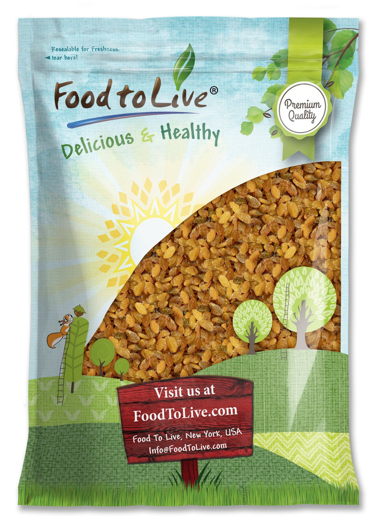 California Jumbo Golden Raisins — Non-GMO Verified, Seedless, Sun-Dried, No Added Oil, No Added Sugar, Kosher, Vegan, Raw, Bulk - by Food to Live