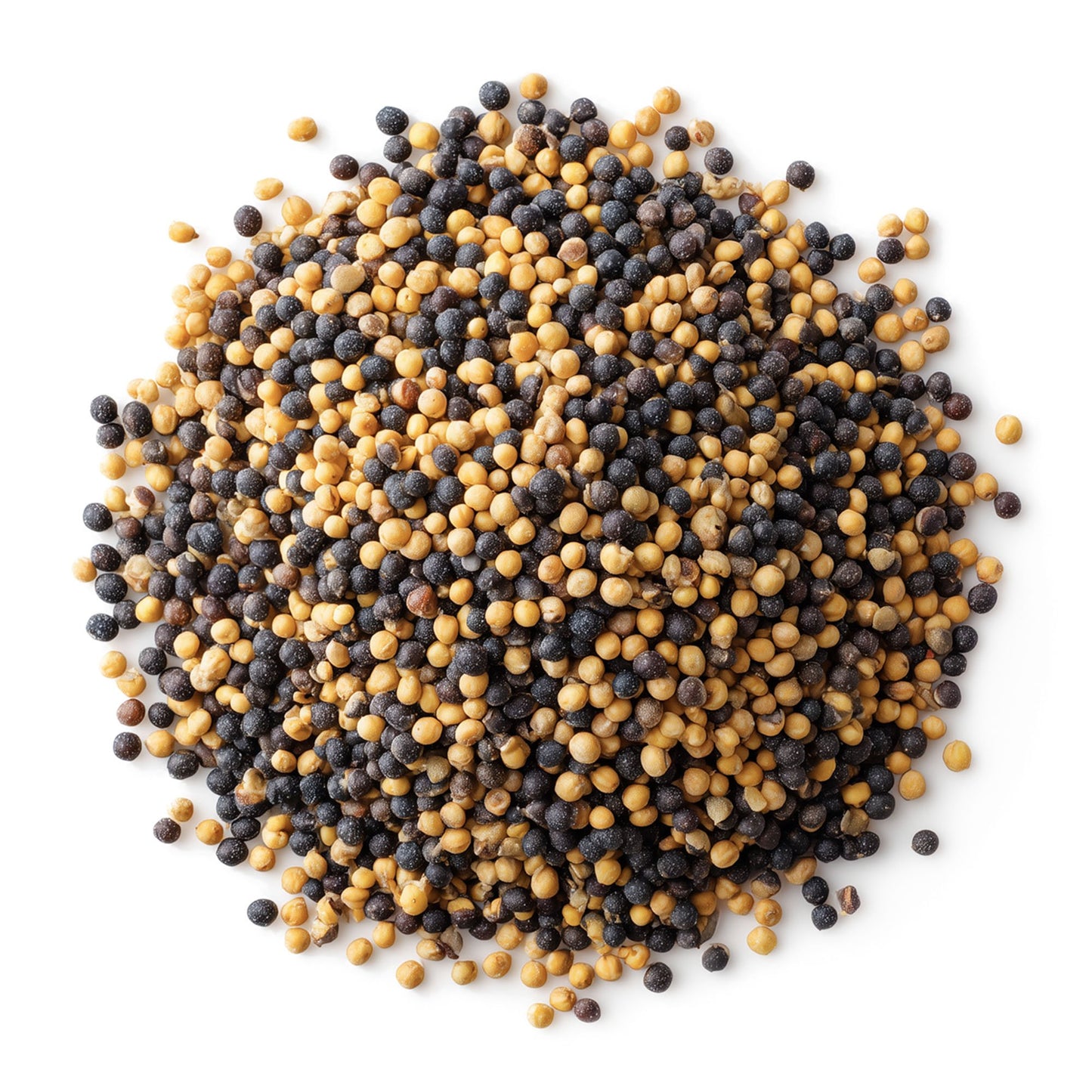 Organic Black and Yellow Mustard Seeds Mix - by Food to Live