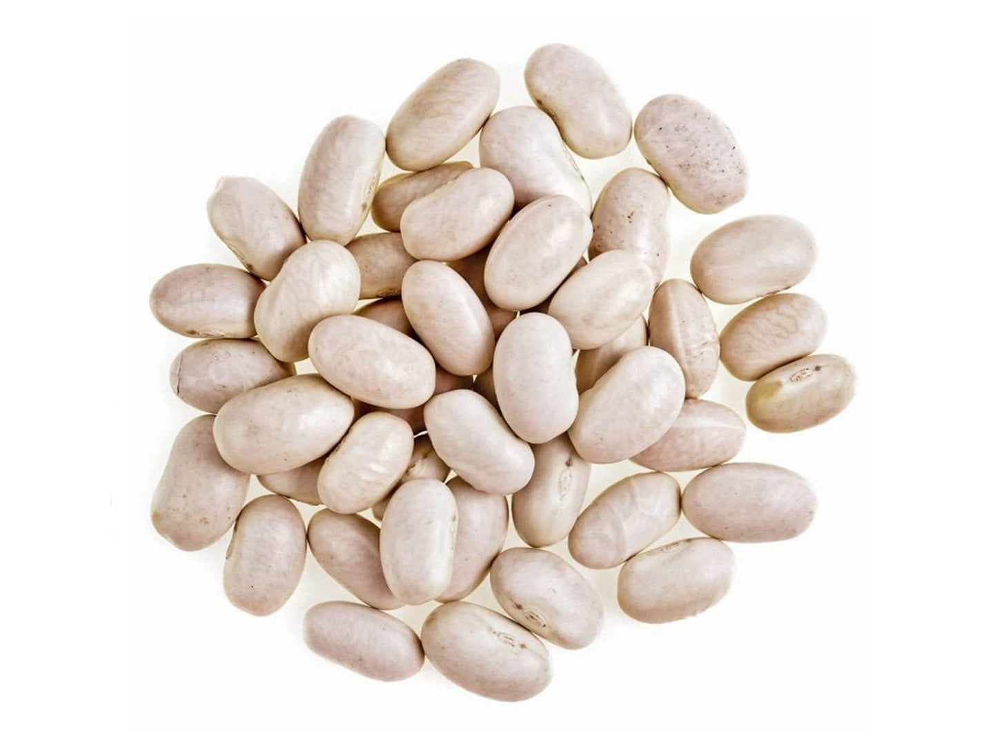 Organic Great Northern Beans - by Food To Live