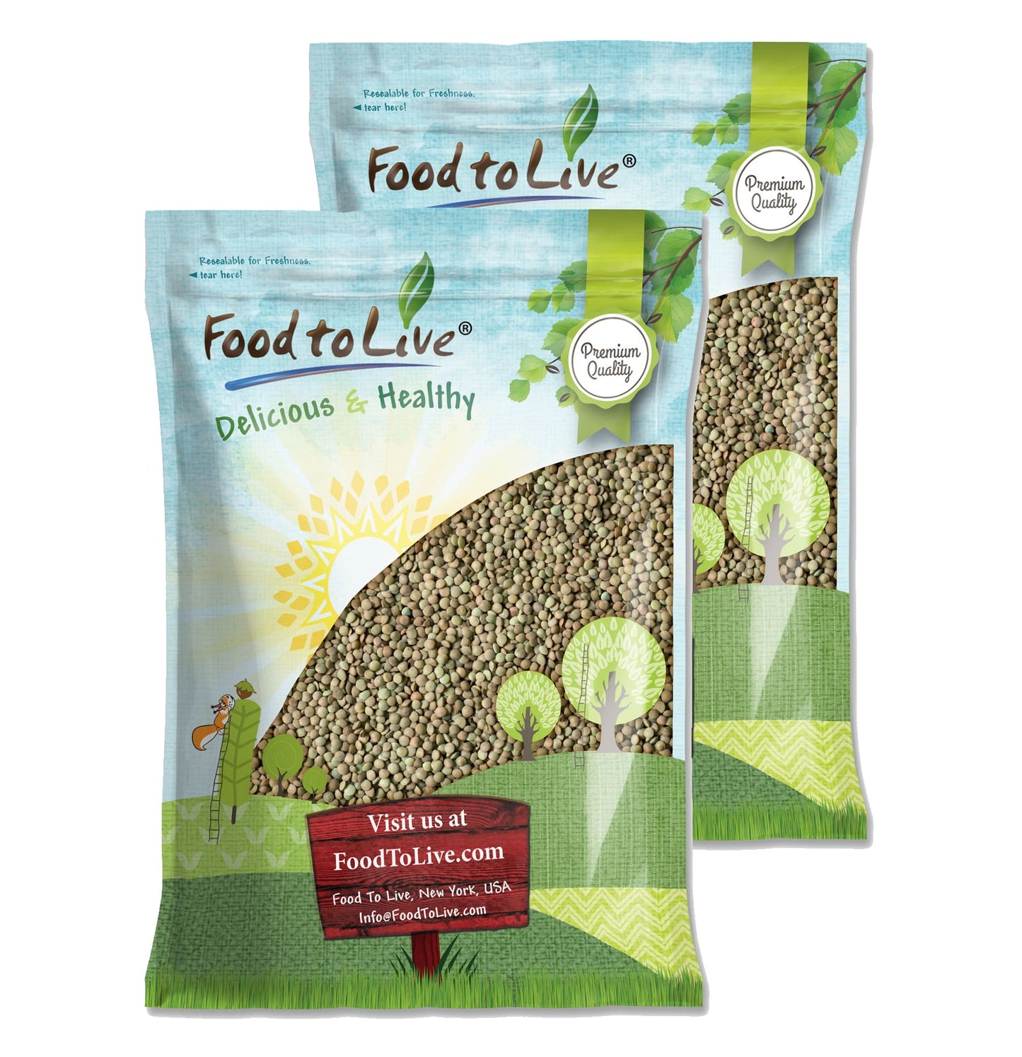 Green Lentil Whole — Non-GMO Verified, Kosher, Bulk - by Food to Live