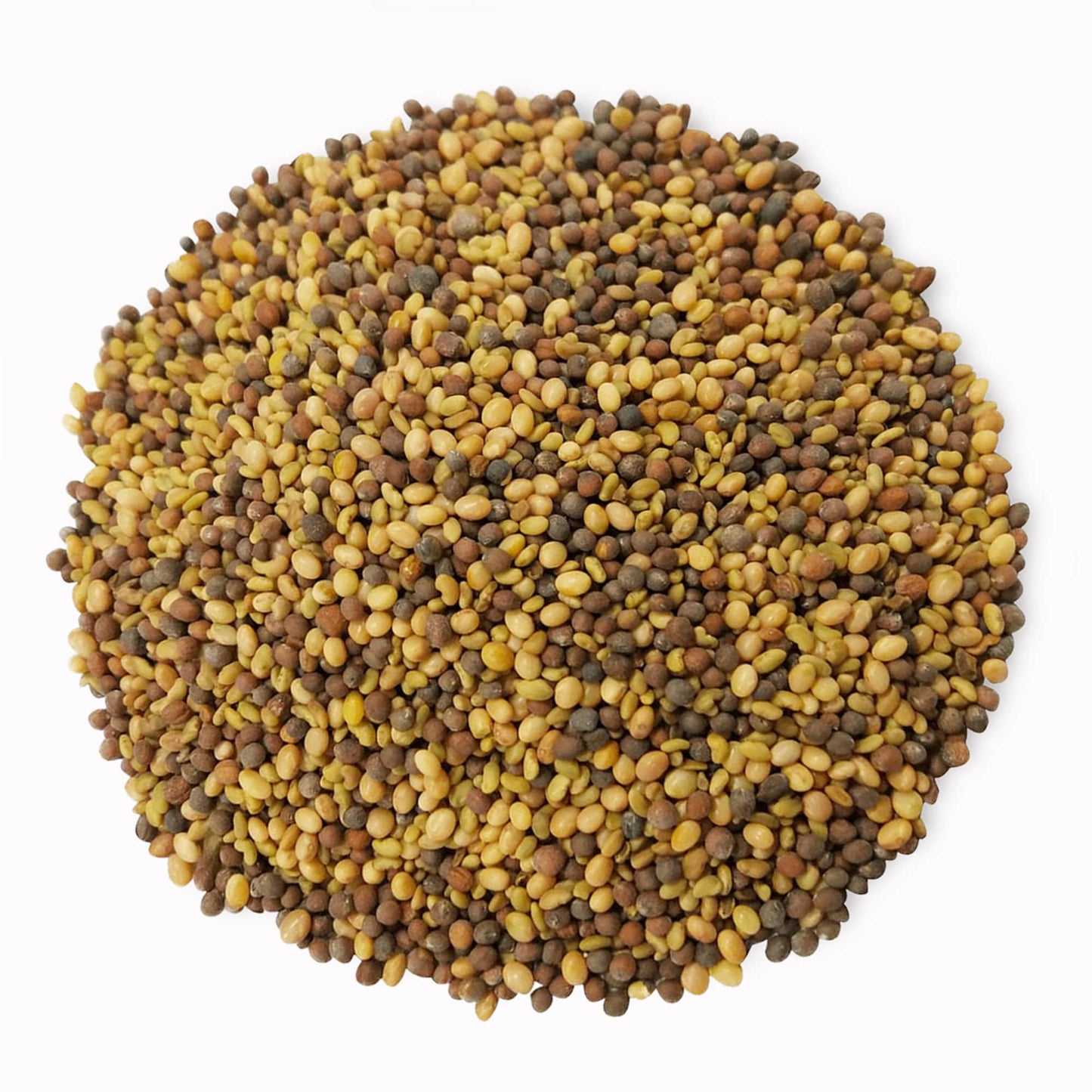 Organic Antioxidant Mix of Sprouting Seeds - by Food To Live