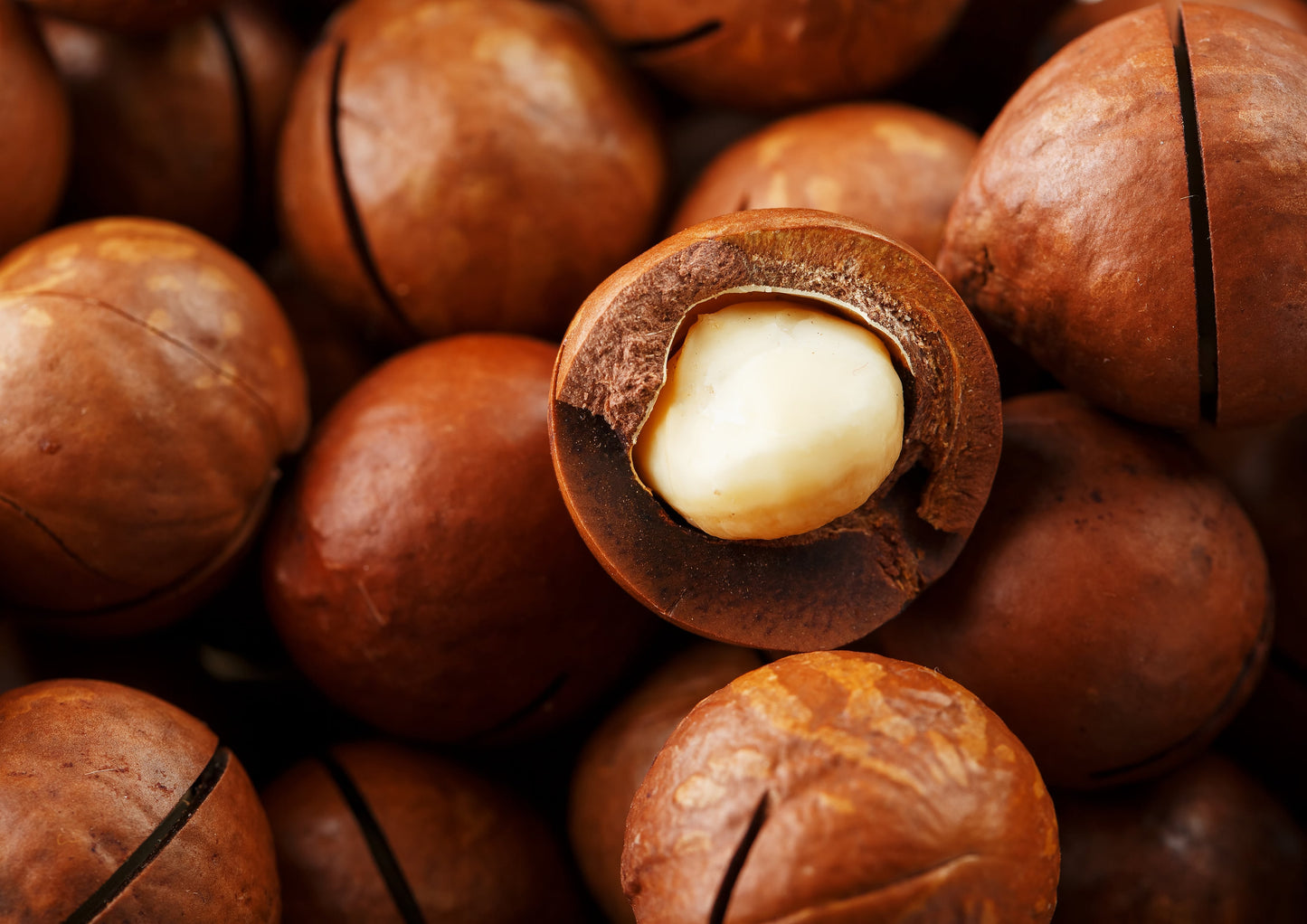 Dry Roasted Macadamia Nuts with Himalayan Salt - by Food To Live