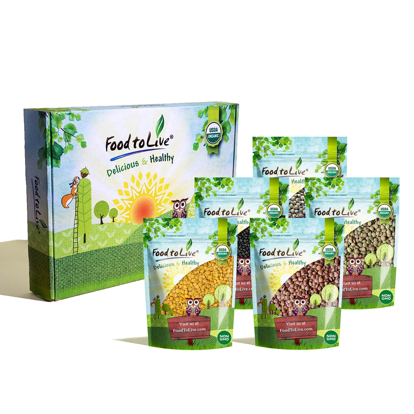 Organic Lentil Variety Set - by Food To Live