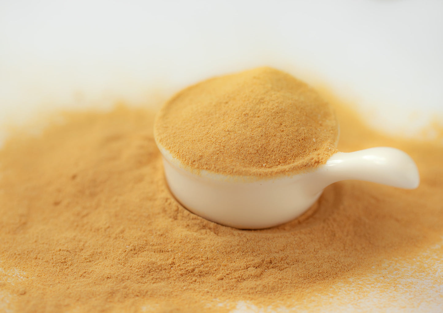 Papaya Juice Powder - Made from Raw Dried Fruit, Unsulfured, Vegan, Bulk, Great for Baking, Juices, Smoothies, Yogurts, and Instant Breakfast Drinks, No Sulphites - by Food to Live