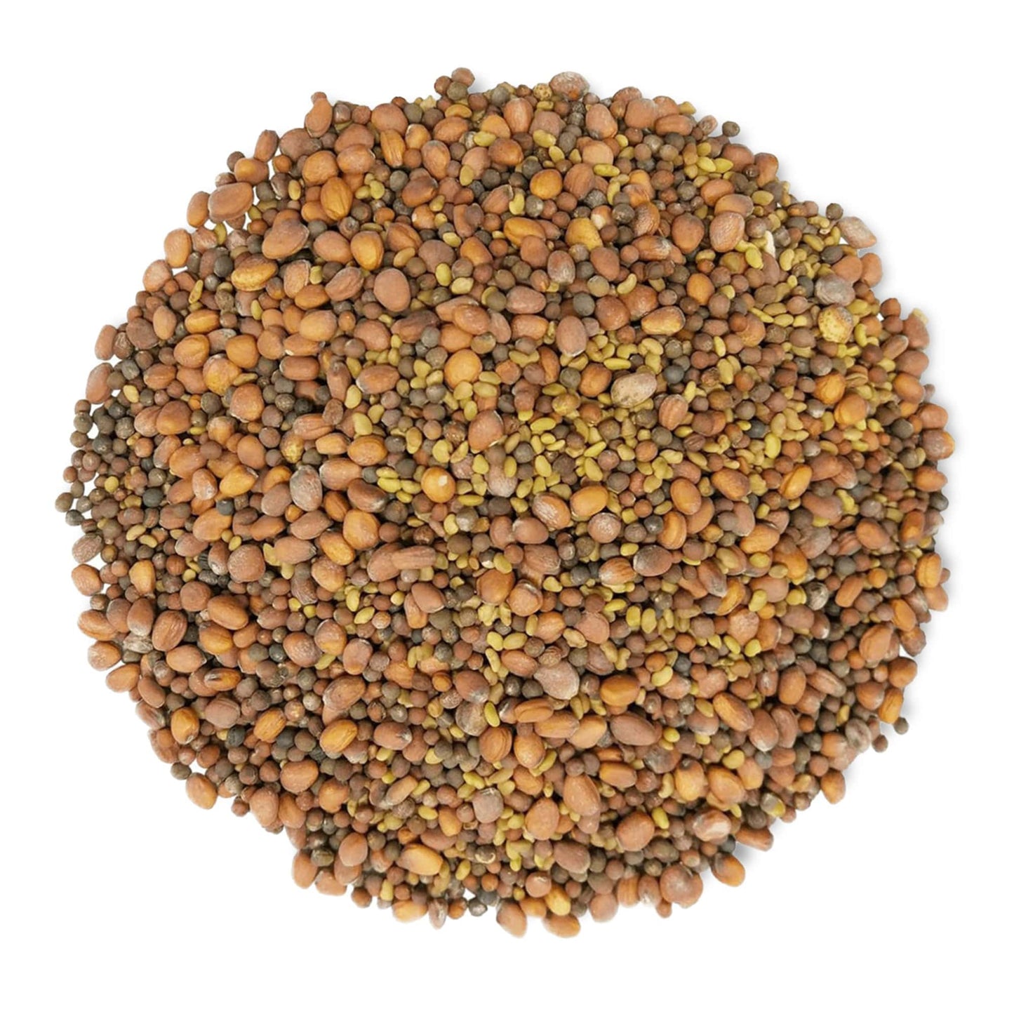 Spicy Mix of Sprouting Seeds - by Food To Live