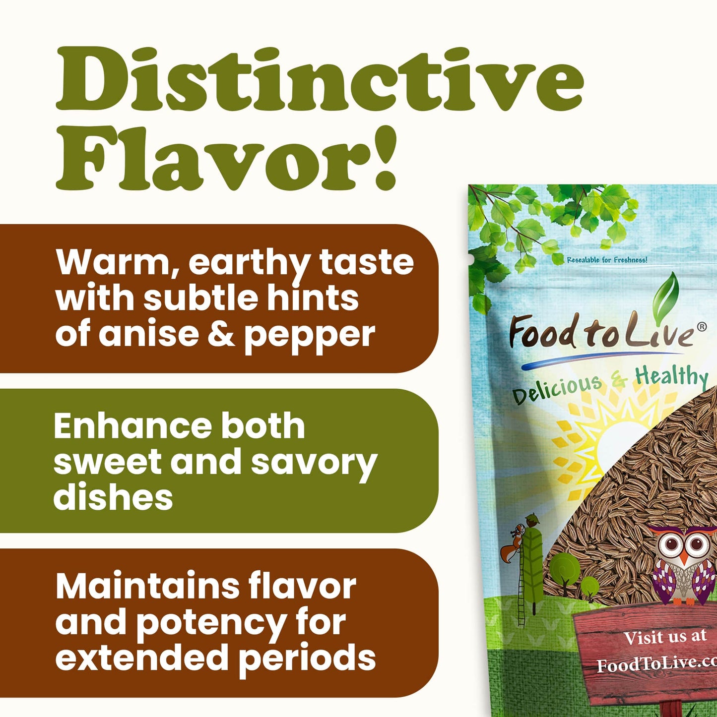 Organic Caraway Seeds - by Food To Live