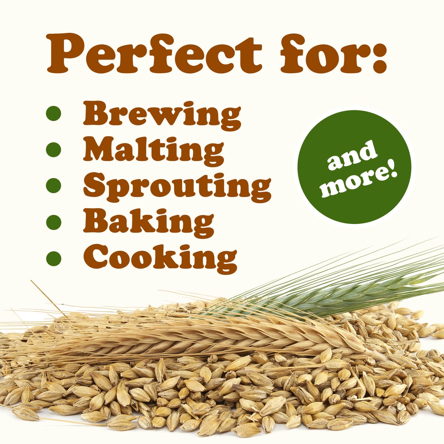 Organic Whole Unhulled Barley - by Food To Live