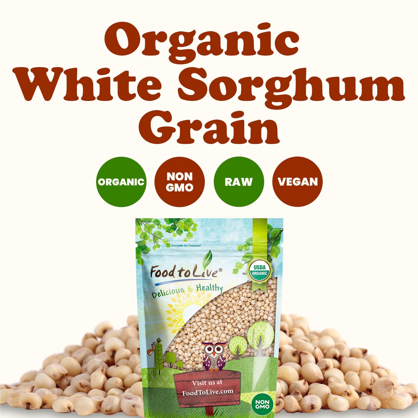 Organic Great Plains White Sorghum Grain - by Food to Live