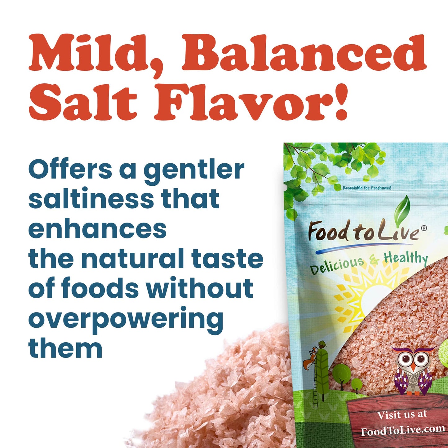 Pink Himalayan Flake Salt - by Food To Live