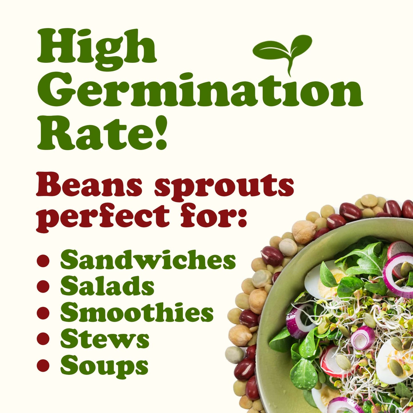 Crunchy Mix of Sprouting Bean Seeds - by Food To Live