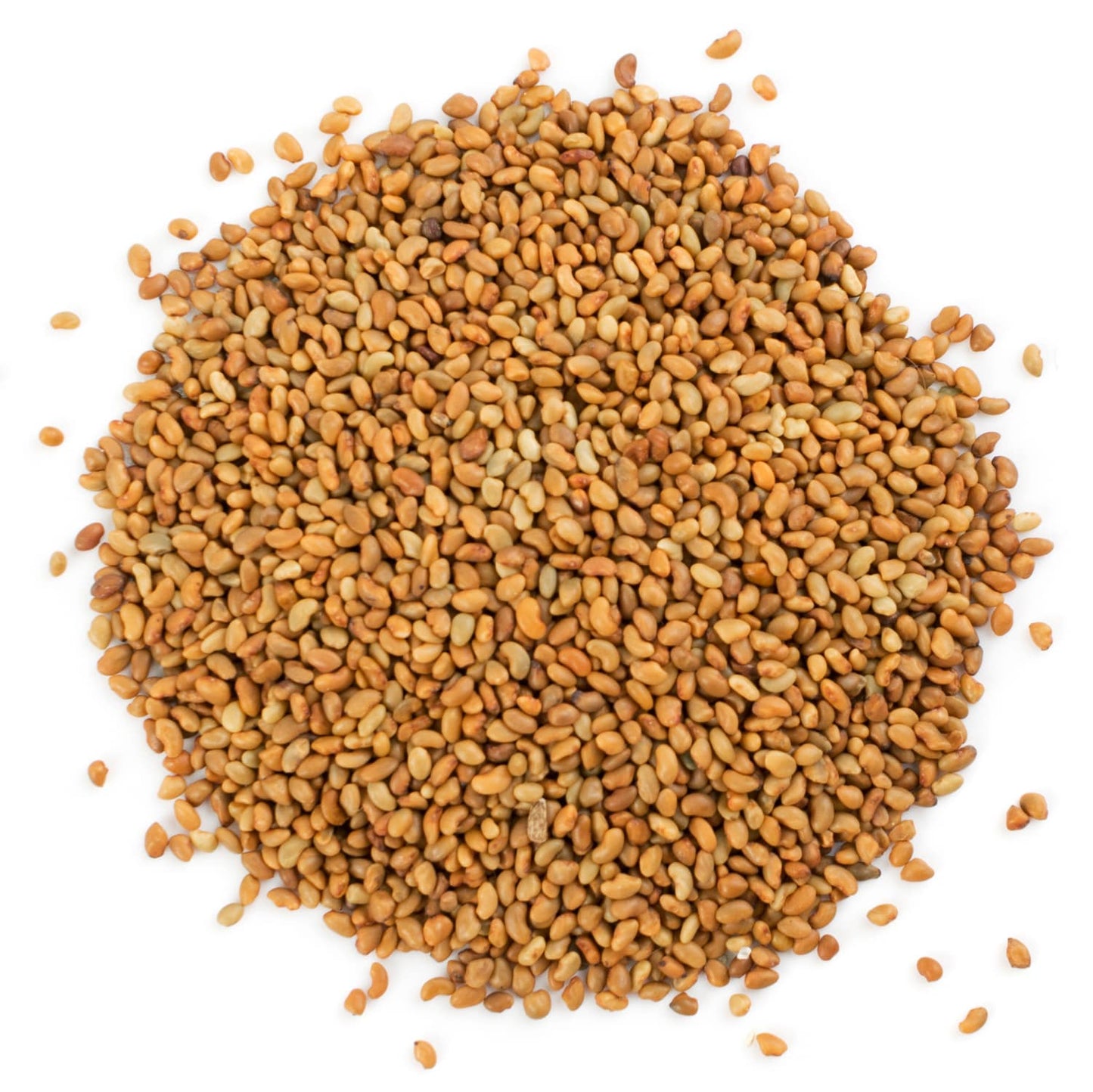 Organic Alfalfa Sprouting Seeds, 12 Ounces - by Food To Live