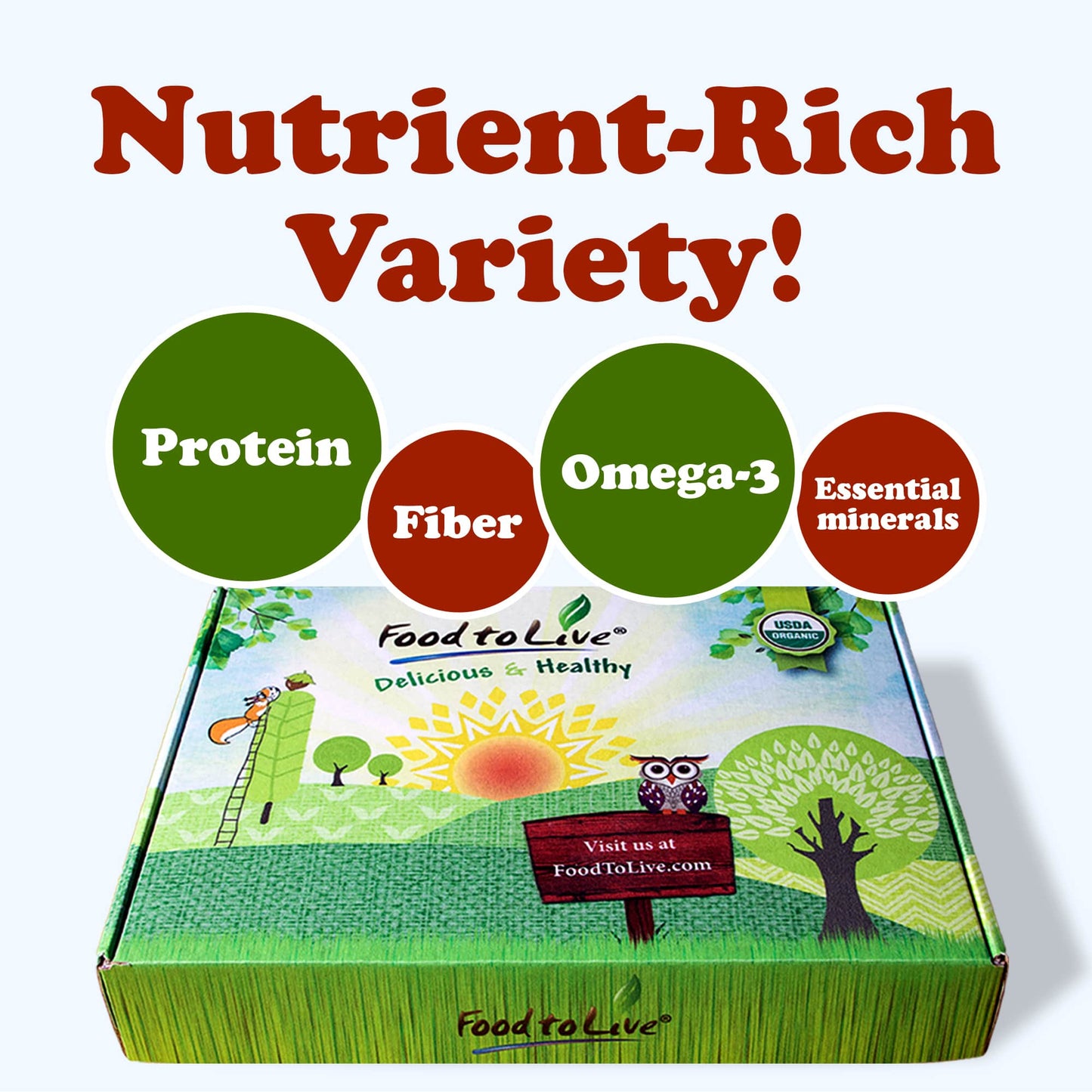 Organic Nuts, Seeds and Fruits in a Gift Box - by Food To Live