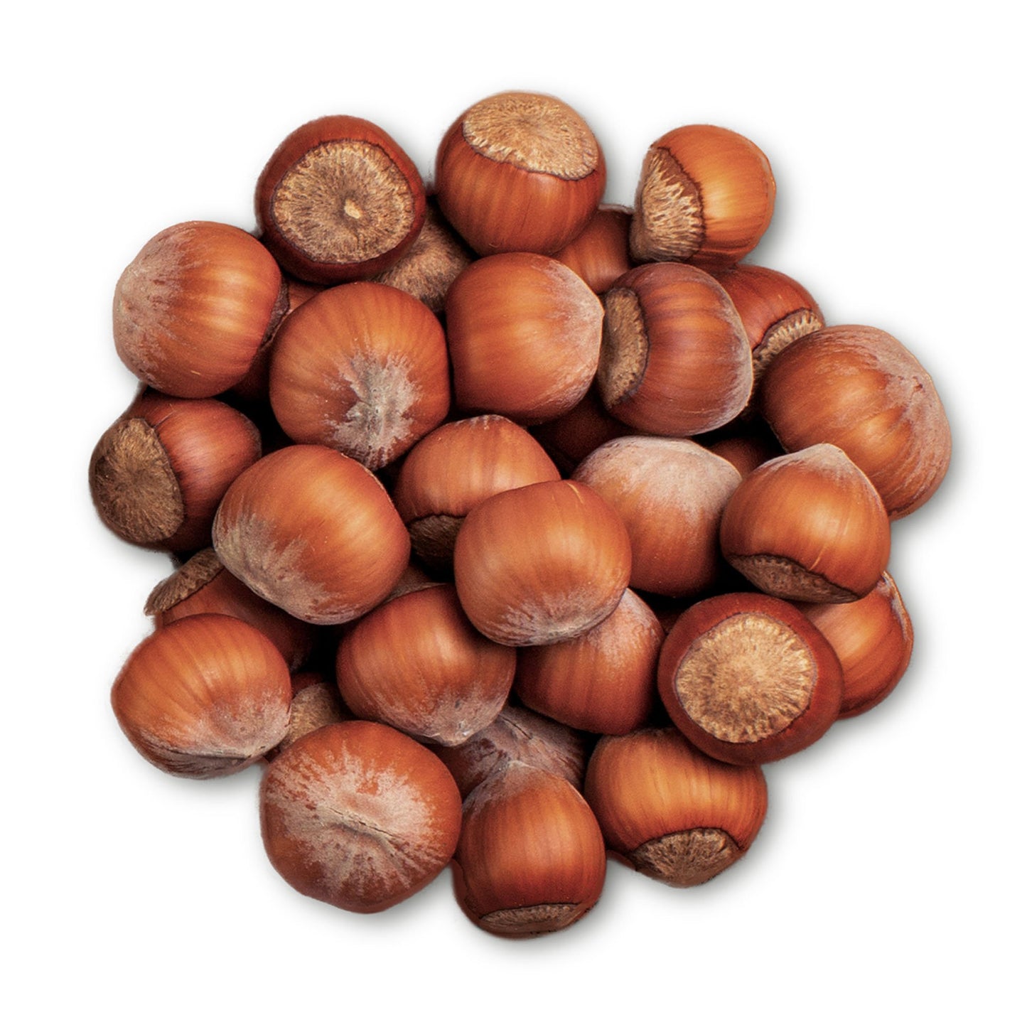 Hazelnuts in Shell - by Food to Live