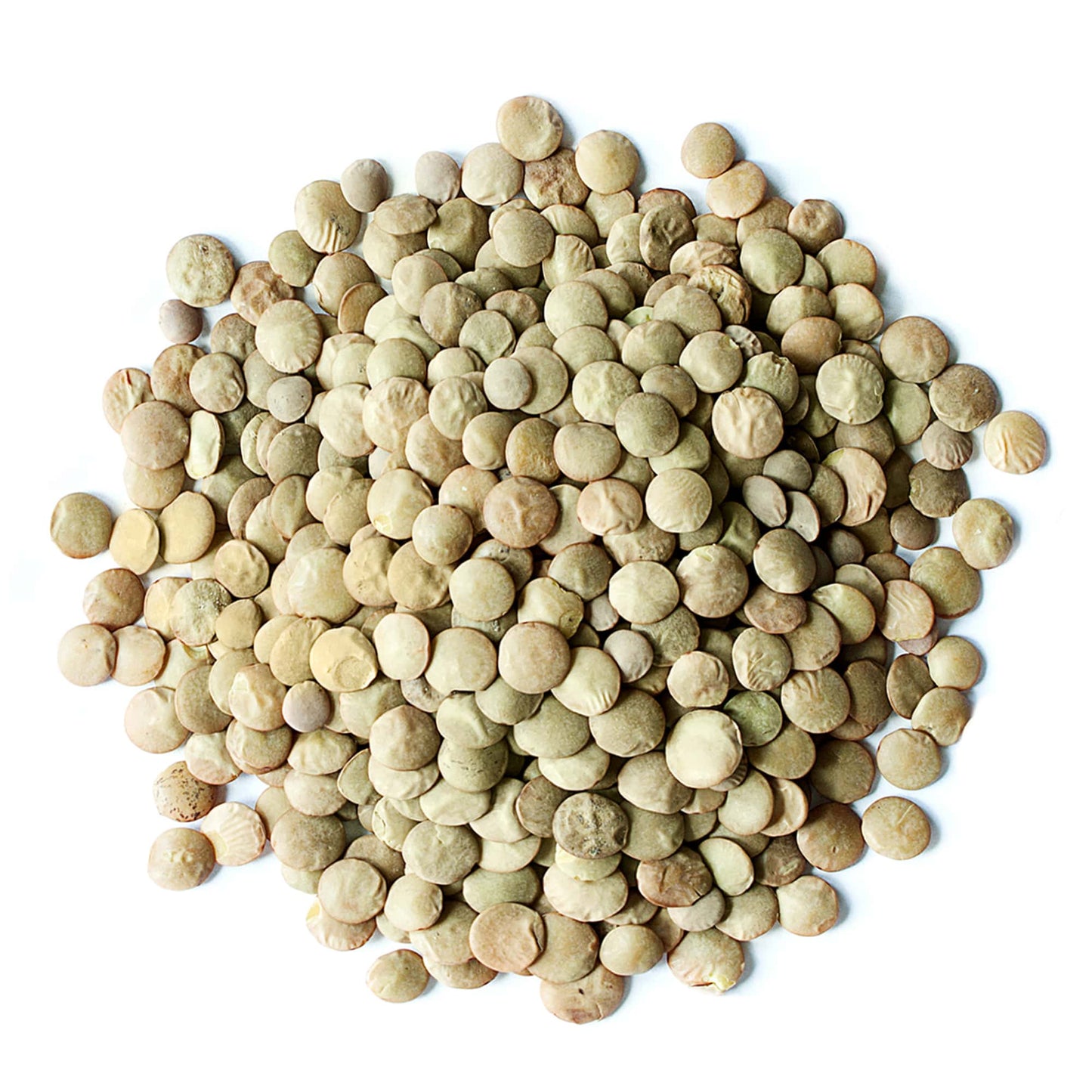 Green Lentil Whole — Non-GMO Verified, Kosher, Bulk - by Food to Live