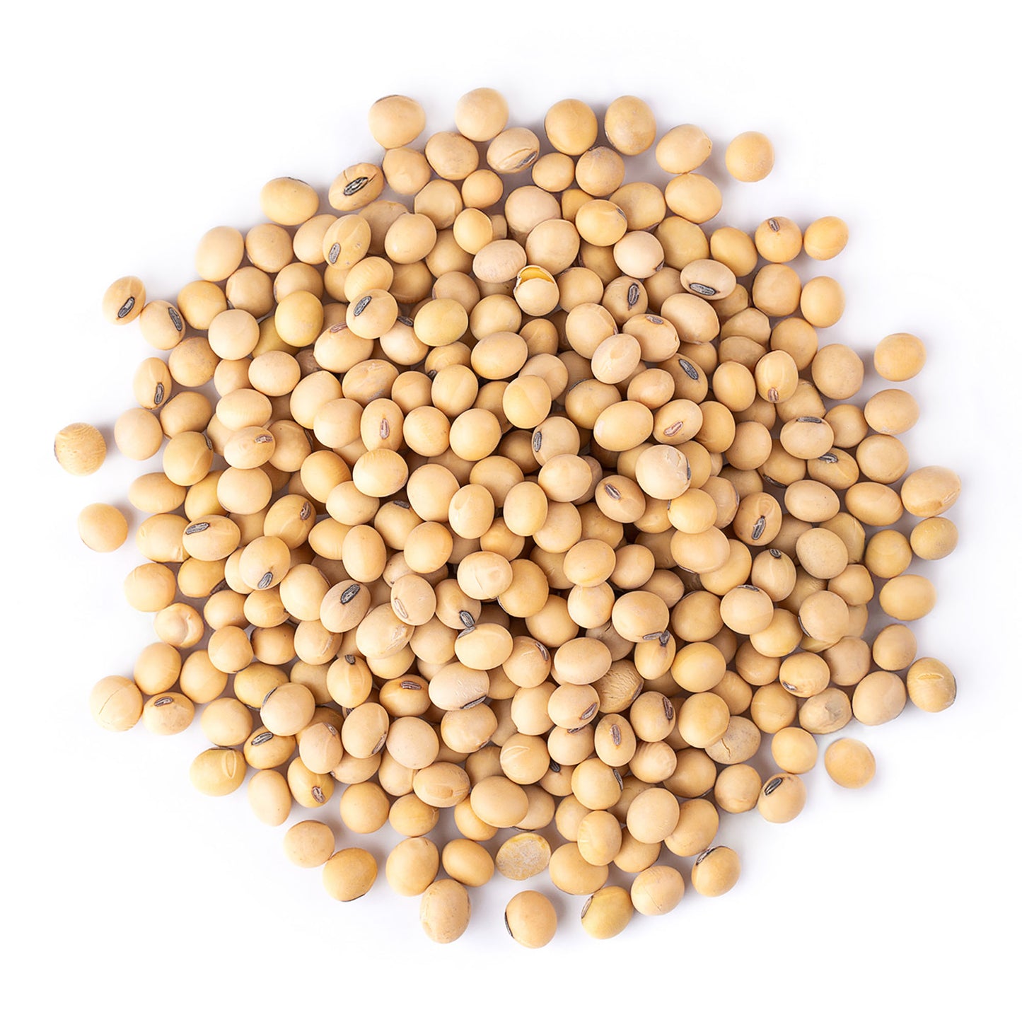Organic Soybeans – by Food to Live