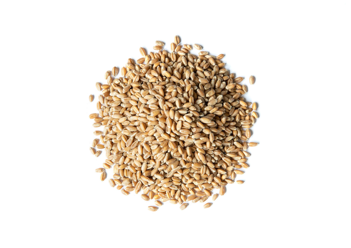 Organic Hard Red Wheat Berries - by Food To Live